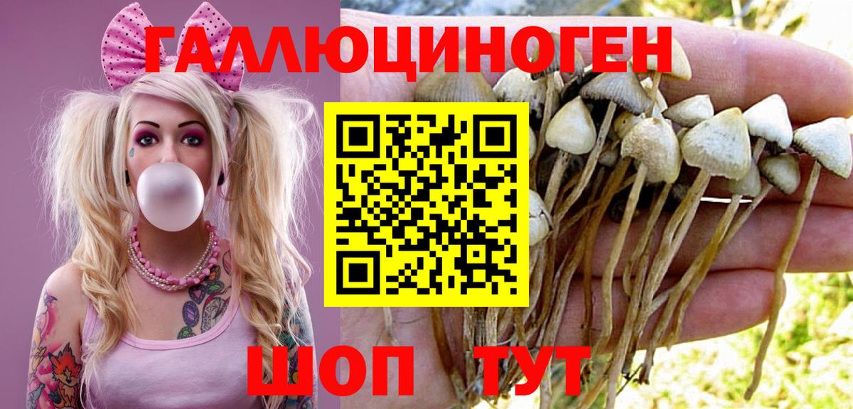 закладки  Галлюциногенные грибы мухоморы  Псилоцибиновые грибы Magic Shrooms  Вход с VPN  Переславль-Залесский 