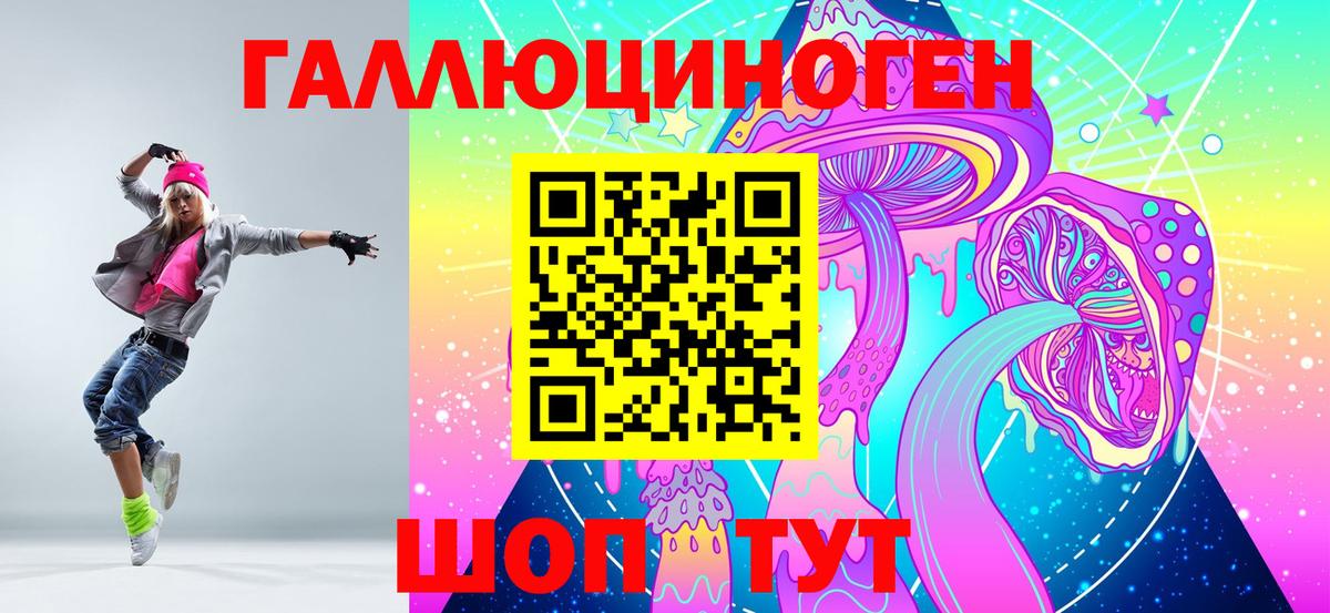 Псилоцибиновые грибы Psilocybine cubensis Переславль-Залесский